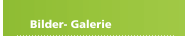 Bilder- Galerie